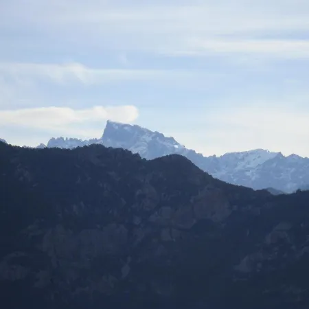 Fior Di Macchia