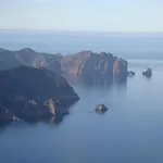 Fior Di Macchia *