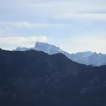 Fior Di Macchia