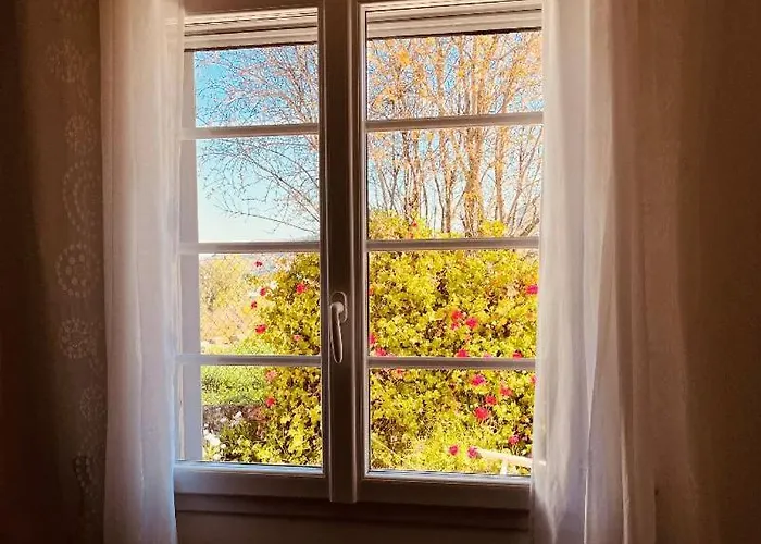 公寓 费耶蒂马基亚酒店 *